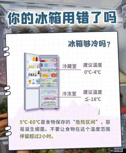 微信疯狂女神探第56关全面攻略，深入揭秘冰箱中隐藏的神秘秘密